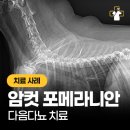 파발로151번길 이미지