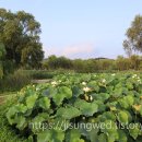 궁남지 서문주차장 화장실 이미지