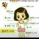 세이헤어 이미지