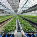 원원농장 이미지