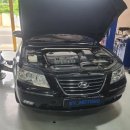 SY모터스 이미지