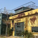 수산목장 | 제주도 여행 맛집 추천::판타스틱버거, 대한목장, 담소요, 조천수산 방어, 1100고지