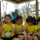 운천초교 병설유치원 이미지