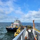 호텔야자(삼천포항구점) | [충남/대나무숲길]홍성 죽도 여행 배편 시간표부터 둘레길까지 당일치기 코스 정리