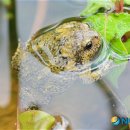 덕동산공원1 이미지