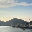 여수돌산치킨