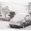 백암온천주유소 이미지