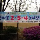 분당장터길 이미지