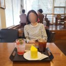 텃밭민박 이미지