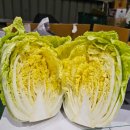 6월4일.김치(배추겉절이,열무얼갈이,알타리무,알배추오이물김치,오이소박이),장류(전복,봄꽃게,칠게, 이미지