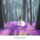 해송공원 이미지