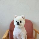 귀엽꾸멍 이미지