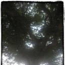 청용1리 이미지