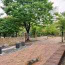 글꽃초등학교 앞 이미지