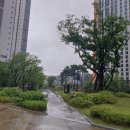 다산테라타워금강공인중개사사무소 이미지