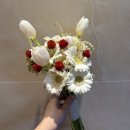 무인59 | 동네 단골 꽃집 영화꽃식물원 촬영 부케, 선물 꽃다발 후기 무인 꽃집