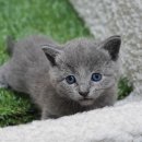 모두와샵 이미지