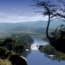 엘도라도 아마존 이미지