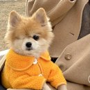 장성 KAFE52 이미지