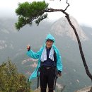 정릉8 이미지