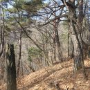 남산(250m).까막재산(240m).칠봉산(문바위봉597m).먼골산(590m).앵당산(368m)/강원원주 이미지