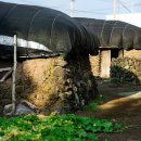 성읍보건진료소 이미지