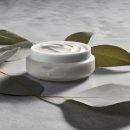 더이쁨풀의원 이미지