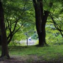 푸른솔건강원 - 무안군 도대안길 1 | 푸른솔건강원