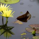 더아름다운이야기 이미지