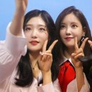 YOLO ARA Daum카페