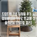 트립트랩 1년 실사용 후기｜알비베이비 직구로 반값에 산 솔직리뷰 (네추럴 컬러)