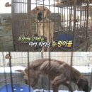 누렁이농장 이미지