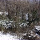 작은 악사 이미지