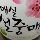 서린정형외과의원 | 7번 2탄