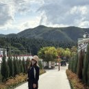 흥자당구클럽 | 김유정 레일바이크 예약! 춘천 여행 어른들과 아이들 모두 만족하는 여행지 + 핑크뮬리 포토존
