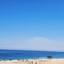 고성수산횟집 네이버블로그
