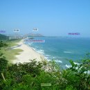 통일전망대 Daum카페