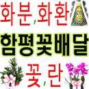 모시골영농조합법인 이미지