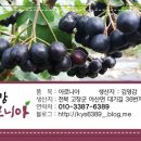 김영농장 이미지