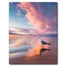 빛나는바다 이미지