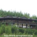 담양대나무축제 이미지