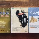 사주명리 이미지