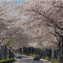 대륜동-2 이미지