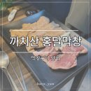 홍달막창