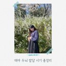 두뇌발달음악교습소 | 태아 두뇌 발달 시기, 언제 가장 많이 성장할까? 임신 주수별 총정리
