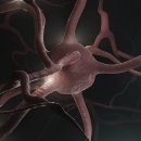 다나신경과의원 이미지