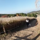 장산토성 이미지