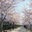 명호중학교 이미지