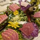 참치다컴 이미지