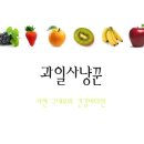 판교동577-1 이미지